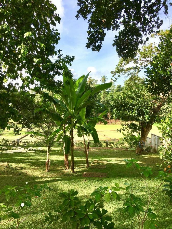 Uyana Boutique Hotel And Retreat Adults Only Ahangama Exterior photo